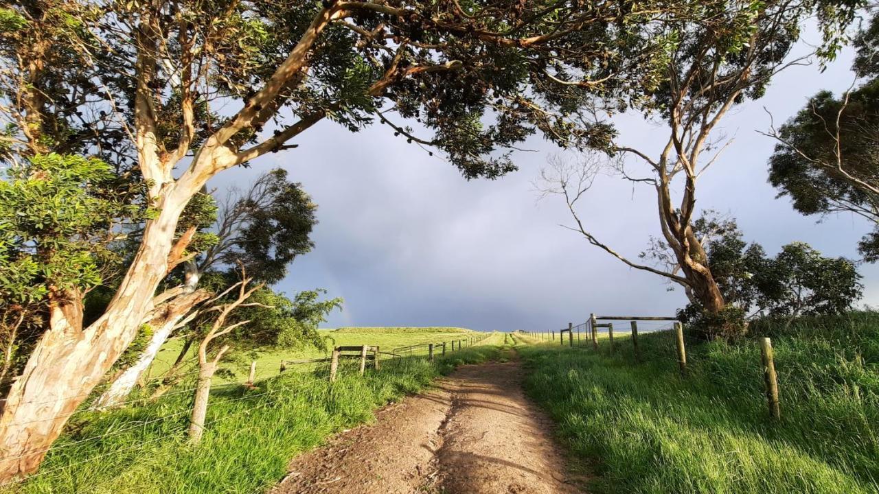 Bed and Breakfast Rockbank Retreat Ryanston Esterno foto